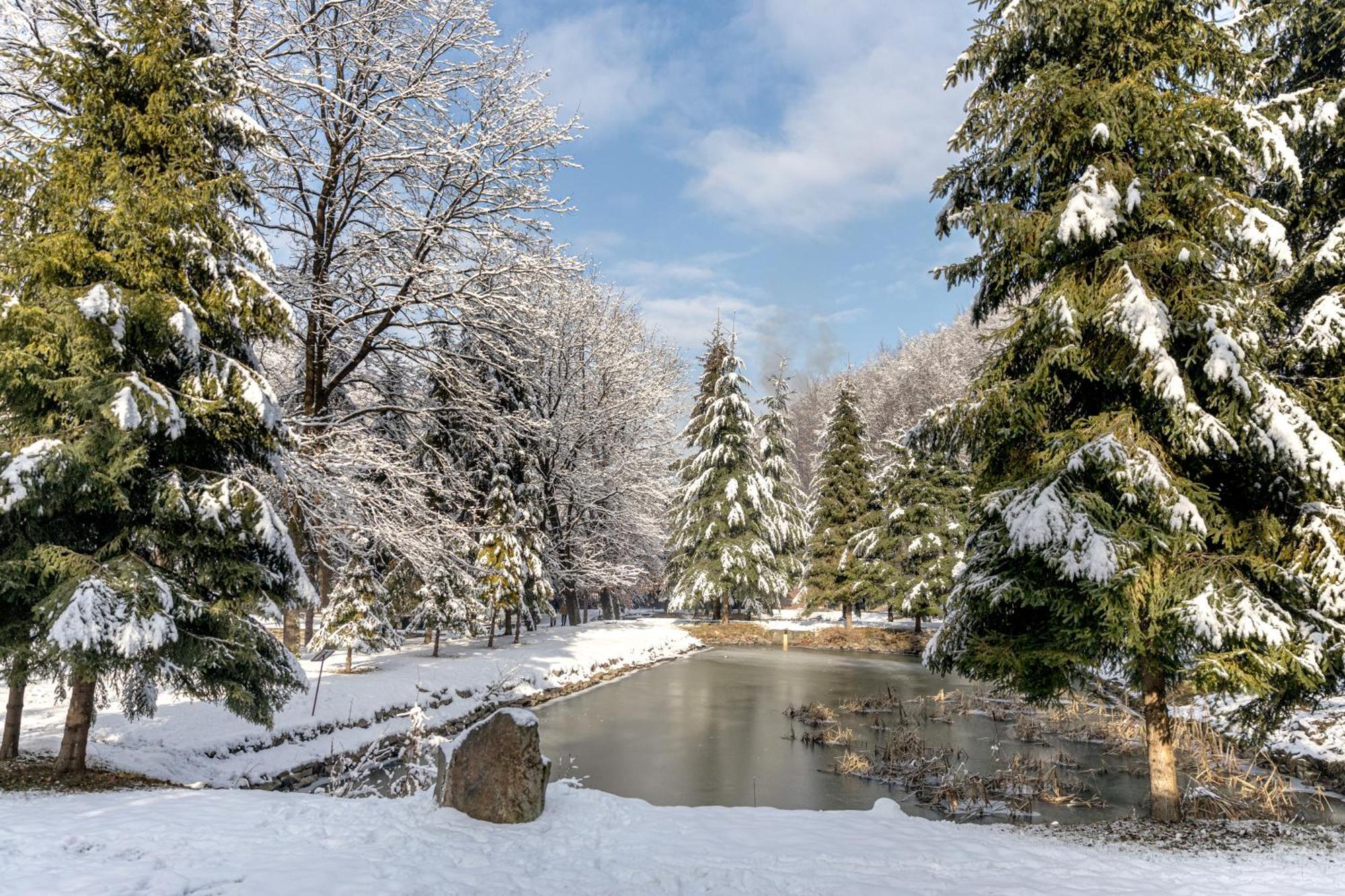 Voevodyno Resort Tur'ya Paseka Екстериор снимка
